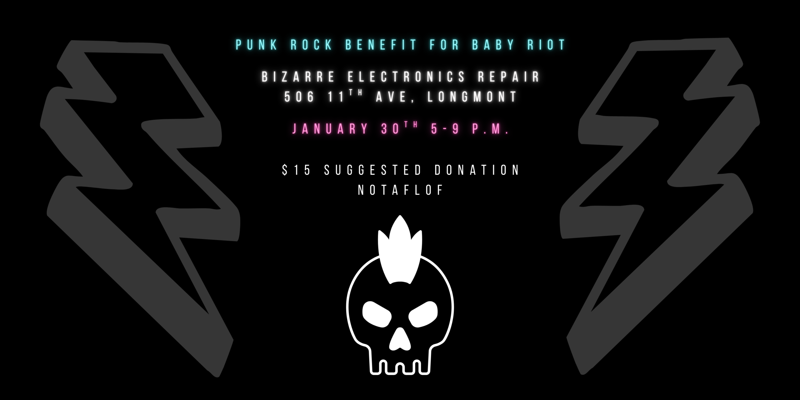 Punk Benefit for Baby Riot